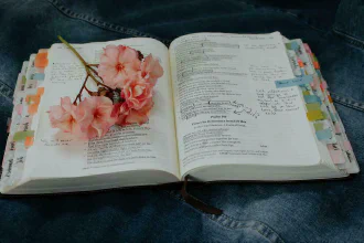 An open book with a lot of hand-written notes and a flower laying on the left page